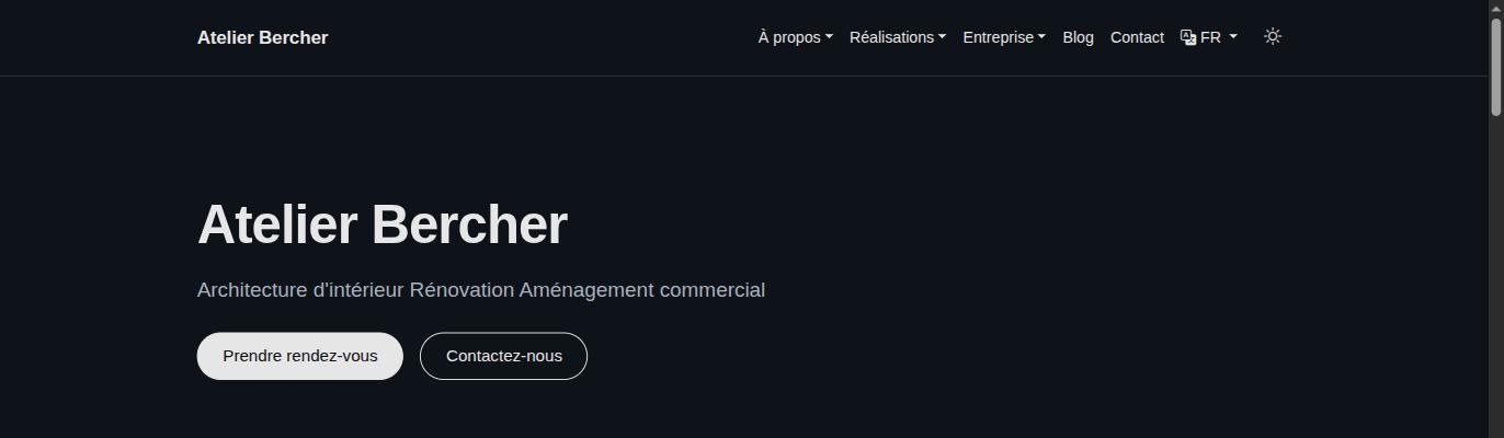 The published site: business name, one-line description, and two buttons — book an appointment, contact us.